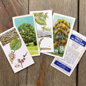 Five British tea cards featuring illustrations of trees and leaves.