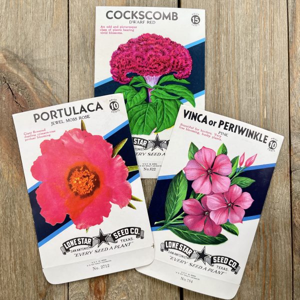 Three different floral seed packets each featuring a different pink flower illustration