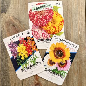 Three floral seed packets featuring different multicolor flower illustrations