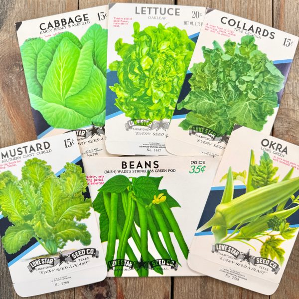 6 Different illustrated vintage green vegetable seed packets