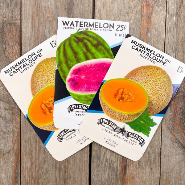3 Assorted vintage melon fruit seed packets for Watermelon and Canteloupe