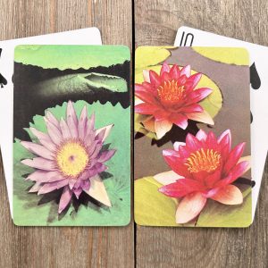 Four assorted vintage water lilies playing cards