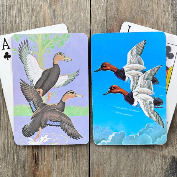 Four assorted vintage playing cards featuring hand-drawn male and female ducks in flight