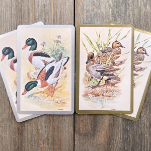 Four assorted vintage playing cards featuring artist illustrated male and female Mallard ducks